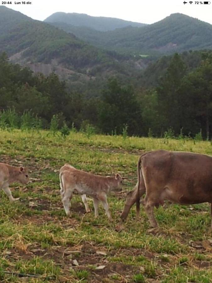 Vistas A La Montana En Un Pueblo Con Encanto. El Pueyo de Araguás Dış mekan fotoğraf