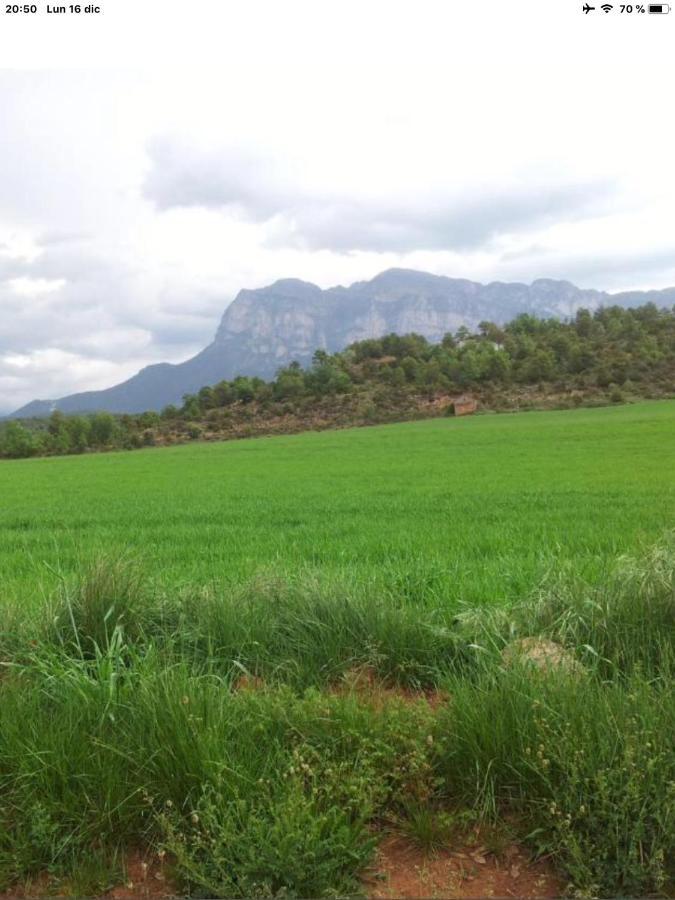 Vistas A La Montana En Un Pueblo Con Encanto. El Pueyo de Araguás Dış mekan fotoğraf