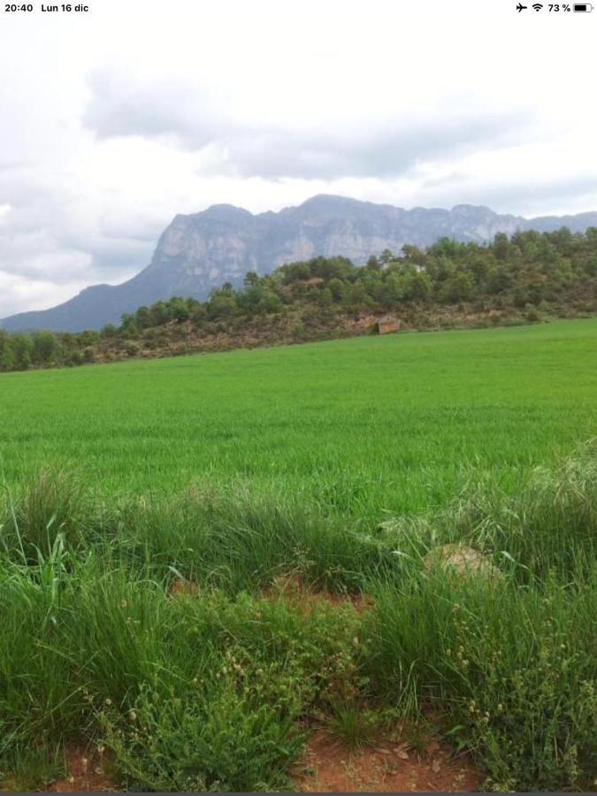 Vistas A La Montana En Un Pueblo Con Encanto. El Pueyo de Araguás Dış mekan fotoğraf